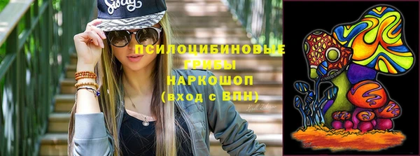 соль ск Ачинск