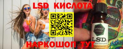 шишки Абакан