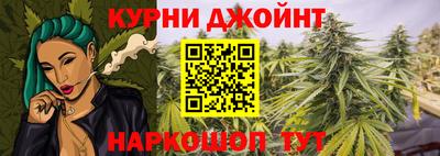 шишки Абакан