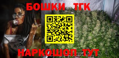 шишки Абакан