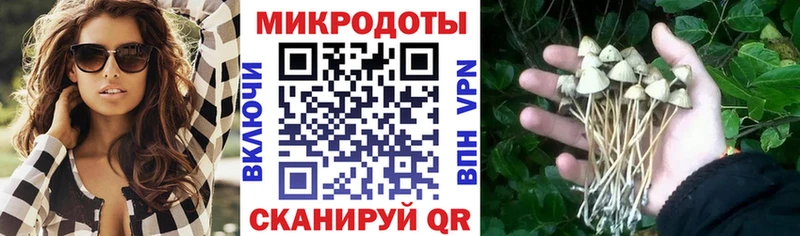Галлюциногенные грибы мухоморы  Алексин 
