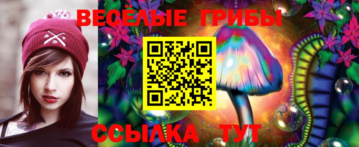 Алексин  Псилоцибиновые грибы GOLDEN TEACHER  Вход с VPN 