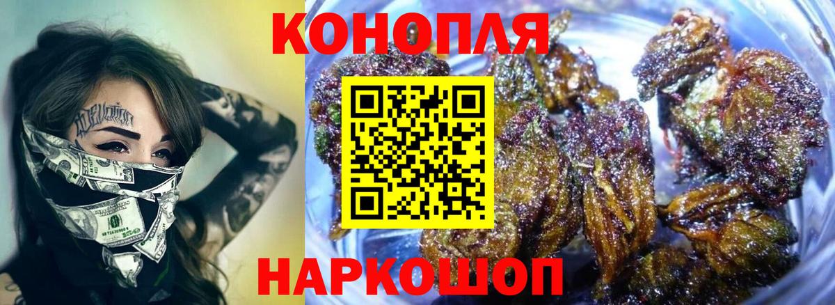 Канабис гибрид Алексин
